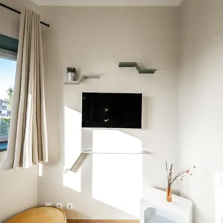 شقة فندقية Chateau D'acotz - Avec Piscine A 300m Des Plages & Ocean سان جان دو لوز