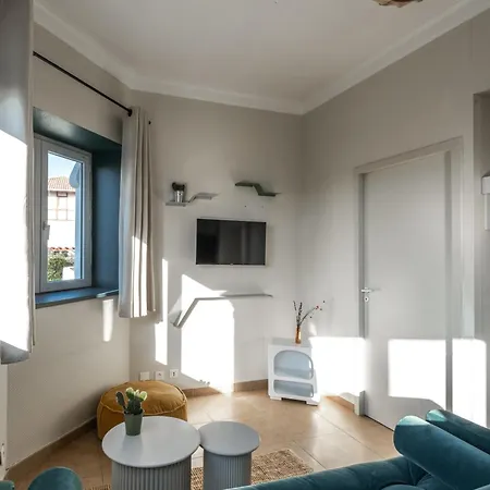 Chateau D'acotz - Avec Piscine A 300m Des Plages & Ocean